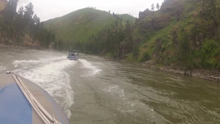 jet boat main salmon river idaho