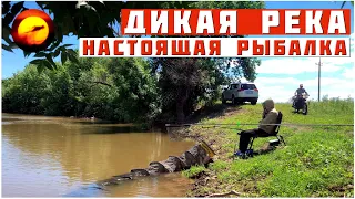 ТОЧНО БУДУ КАЙФОВАТЬ / РЫБАЛКА НА ДИКОЙ РЕКЕ