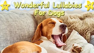 Soft Sleep Music For Dogs Puppies Pets ♫ Relax Your Animal ♥ Calming Lullaby For Beagles Dog Music