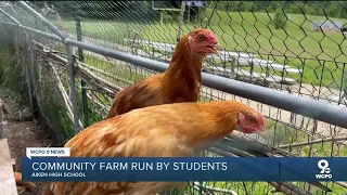 Student-run farm grows sustainable solutions to Cincinnati neighborhood's food desert