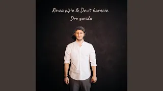 Dro gavida / Time has passed (feat. Davit barqaia)