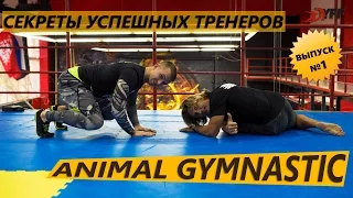 Секреты успешных тренеров: Animal Gymnastic c Виталием Павликовым