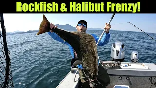 Rockfish and Halibut Frenzy! Alaskan Halibut Fishing - Juneau, Alaska! JULY 2022