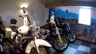 Harley Davidson Surprise