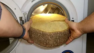 Experiment - Real Wood Block - in a Washing Machine