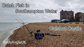 Catch Fish in Southampton Water: CALSHOT CASTLE
