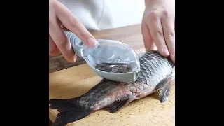 Fish Scraper Grater Brush