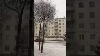 Снег в Зеленогорске (видео очевидца)