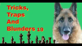 Tricks, Traps And Blunders 19