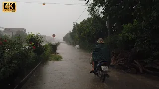 [4K] Walking In The Heavy Rain In The Countryside Of Vietnam After A Hot Day