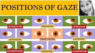 Diagnostic & Cardinal Positions of Gaze | Squint Simplified For Medical Students