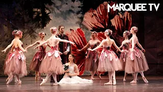 Dance of the Mirlitons | The Nutcracker | Marquee TV