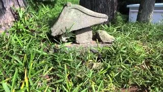 富士塚・山梨県山梨市万力（フルーツ公園）