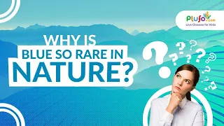 Why Is Blue So Rare In Nature? | Always On Learning