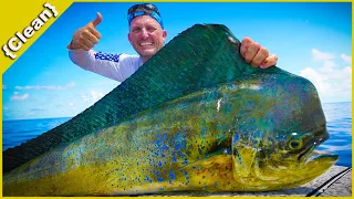 How to Fillet a Massive Mahi Mahi like a PRO! {Clean} 2 different styles