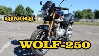 Мотоцикл QINGQI WOLF 250