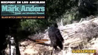 BIGFOOT Spotted Los Angeles