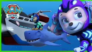 Aqua Pups and Sea Creatures team up to save the Whale Patroller! | PAW Patrol | Cartoons for Kids