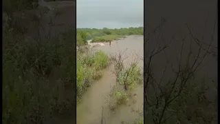 Barragem não suporta tanta água e se rompe, Sítio Boa Vista, Fronteiras Piauí 02/01/2022