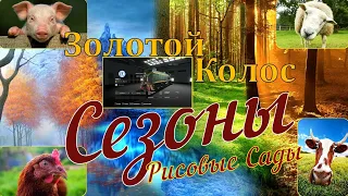 Farming Simulator 19. ФС 19. ЗОЛОТОЙ КОЛОС ! № 82 Лето. Страда!!!