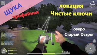 Русская рыбалка 4 - озеро Старый Острог - Щука трофейная на мышку