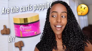 Y'ALL...This NEW Mielle Organics Pomegranate & Honey Curling Custard...|Review & Wash N Go