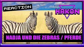 Reaktion auf "Zebras sind bemalte Pferde "