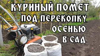 КАК Я ПРОВОДИЛ ОСЕННИЕ УДОБРЕНИЯ ДЛЯ САДА