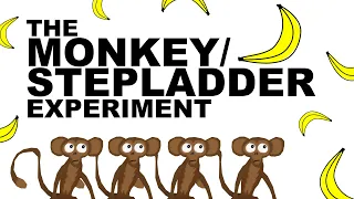 THE MONKEY/STEPLADDER EXPERIMENT