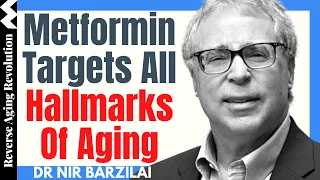 METFORMIN Targets ALL Hallmarks Of AGING | Dr Nir Barzilai Interview Clips