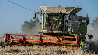 [Lohnunternehmen Johann Greimel] Gerste dreschen 2019 ||Claas|FENDT|HAWE|Gerbl|Case IH||