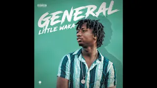 GENERAL LITTLEWAKKA-IDIOT(EXPRESS LOVE RIDDIM)