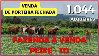 1.044 ALQ EM PEIXE - FAZENDA A VENDA NO TOCANTINS [🌱DUPLA APTIDÃO🐄] Zap 62.99972-2000 #agro #fazenda