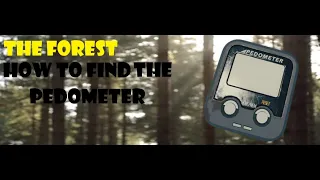 How to find pedometer and tennis racket. The forest.