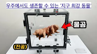 우주에서도 살아남는다는 지구 최강 생명체 진공에 1시간 동안 넣어봤습니다.