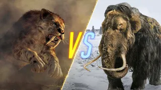 Saber-Toothed Tiger VS Woolly Mammoth