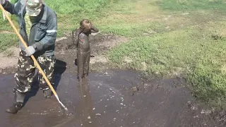 Искупался в грязи