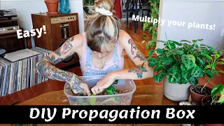 Making A Propagation Box | Multiply Your Houseplants