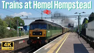 Trains at Hemel Hempstead (7th May 2024)