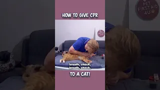 Giving an Actual CAT CPR