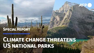 US national parks in crisis as climate change threatens iconic natural features | AFP