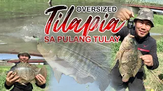 NAKABINGWIT KAMI NG 2 OVERSIZED NA TILAPIA SA PULANG TULAY | 3.67KG AT 2.4KG  ANG BIGAT NG TILAPIA