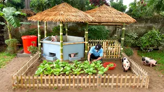 Easy to build cute pig house with green garden