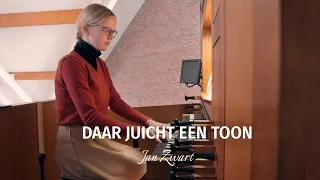 Jan Zwart: ‘Daar juicht een toon’ | Joske Siebelink