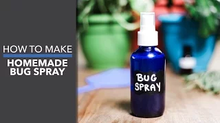 How to Make Homemade Bug Spray