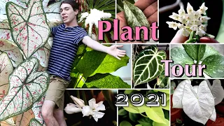 Massive 2021 Houseplant Tour | Lots of Before and Afters!