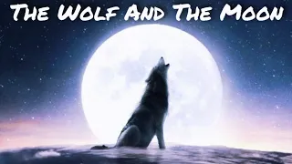 🎺"The Wolf And The Moon" Orchestral Cover