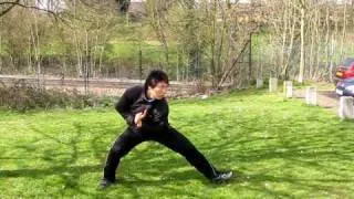 Leo Chinese Kung Fu - By Sifu Leo Au Yeung : Hung Gar (洪拳)