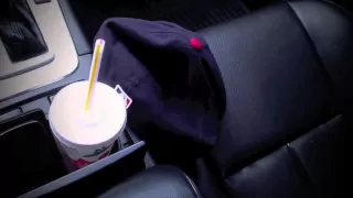 Car Concealed Carry Method