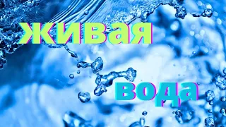 Песня  "Живая вода" Автор и исполнитель Жанна Солнечная